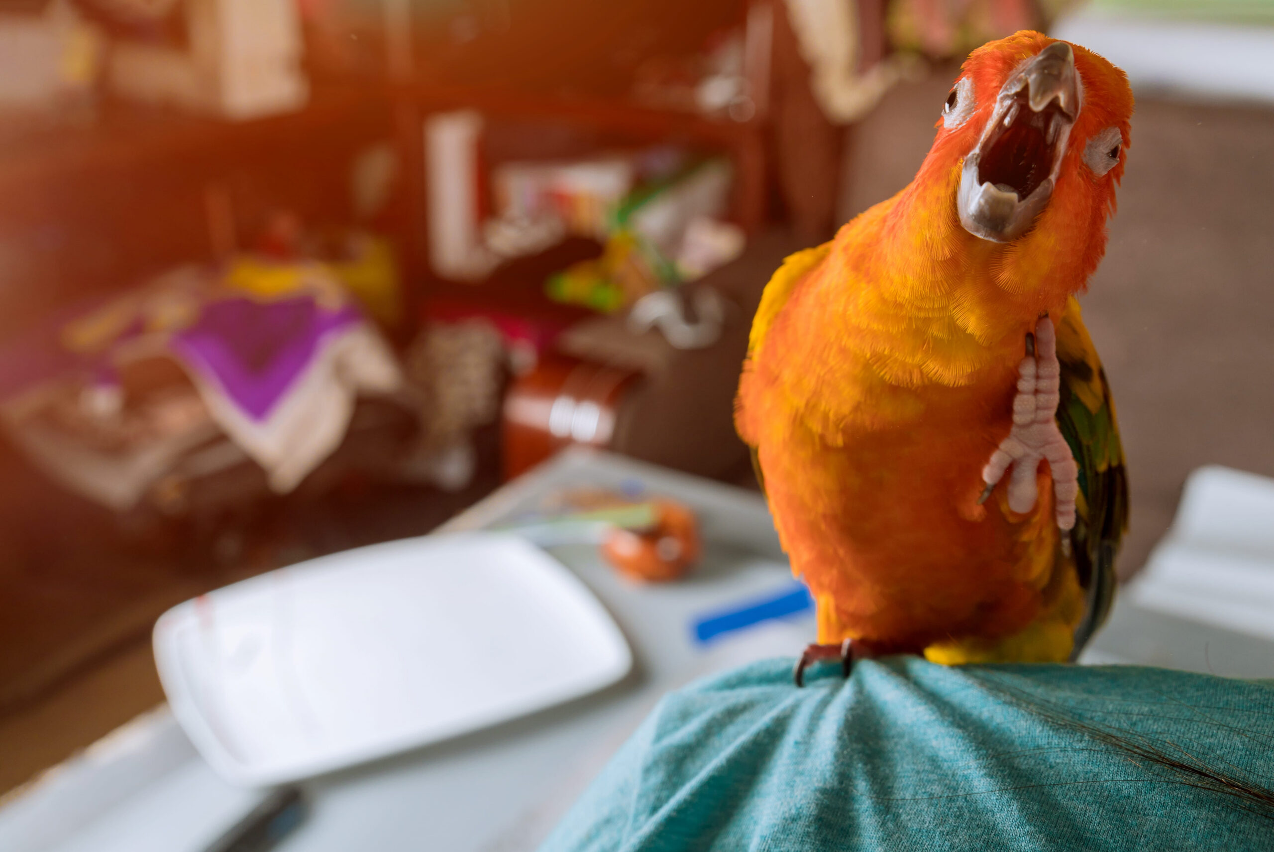 HUD Gives Owners Leeway to Nix Emotional Support Animal Accommodation Requests